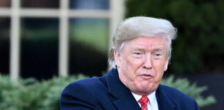 Person in suit pointing outside in garden setting