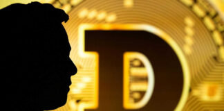 Silhouette of person with large golden D logo