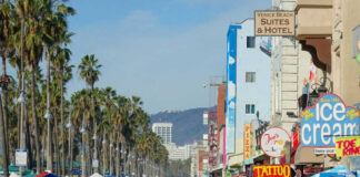 Crowded Venice Beach boardwalk with palm trees and shops