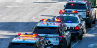 ICE RAIDS Legal Worker — Restaurants SHUT DOWN