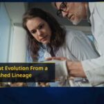 Scientists Identify Plague DNA in 4,000-Year-Old Sheep, Revealing Livestock’s Role in Ancient Pandemic Scientists Identify Plague DNA in 4,000-Year-Old Sheep, Revealing Livestock’s Role in Ancient Pandemic