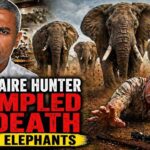 American Hunter Killed by Elephant Herd During Safari in Gabon American Hunter Killed by Elephant Herd During Safari in Gabon