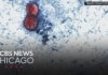 Source: Cyclospora outbreak tied to lettuce served at some Taco Bell restaurants
