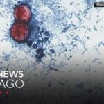 Source: Cyclospora outbreak tied to lettuce served at some Taco Bell restaurants