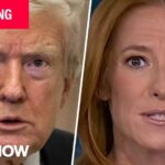 Trump fires independent elections workers in latest attack on U.S. election system Trump fires independent elections workers in latest attack on U.S. election system